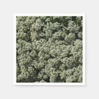 Sweet Alyssum Flowers White Floral Napkin