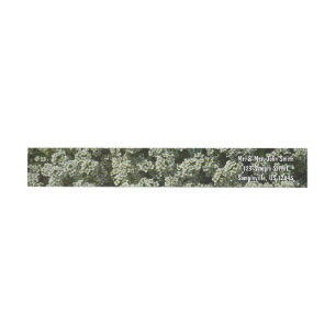 Sweet Alyssum Flowers White Floral Wrap Around Label