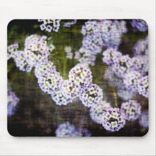 Sweet Alyssum in Grunge Mouse Pad