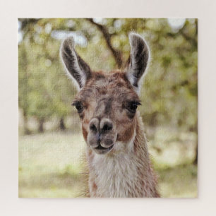 Sweet and Cute Llama Face Big Puzzle