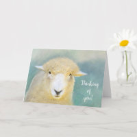 Sweet And Loving Sheep Get Well