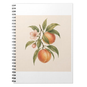 Sweet as a Peach   Vintage Peach Botanical Design Notebook