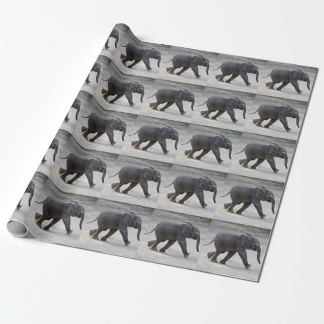 Sweet Baby Elephant Kibali Wrapping Paper (Unrolled)