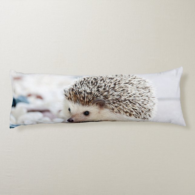Sweet Baby Hedgehog Body Cushion (Back)