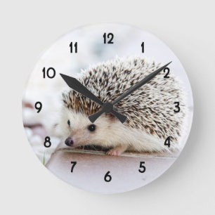 Sweet Baby Hedgehog Round Clock