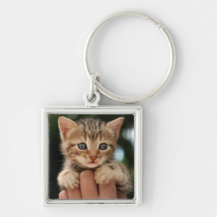 Sweet Baby Kitten Key Ring