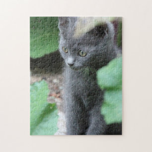 Sweet Baby Kitten Puzzle