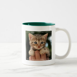 Sweet Baby Kitten Two-Tone Coffee Mug