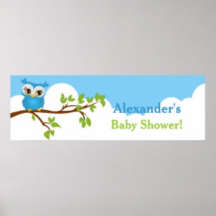 Sweet Baby Owl Boy Baby Shower Banner Poster