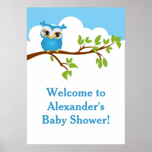 Sweet Baby Owl Boy Baby Shower Poster