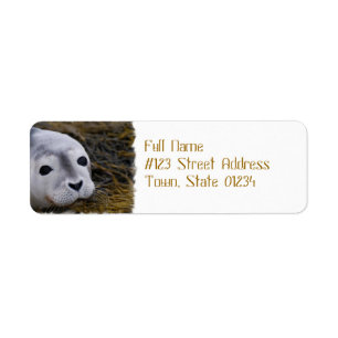 Sweet Baby Seal Mailing Labels