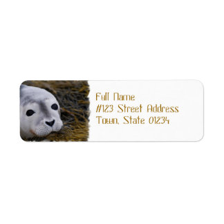 Sweet Baby Seal Mailing Labels