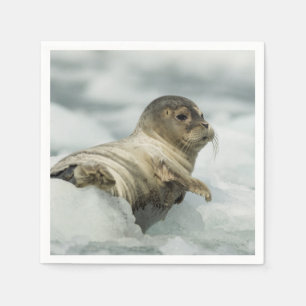 Sweet Baby Seal Napkin