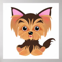 Sweet Baby Yorkie 