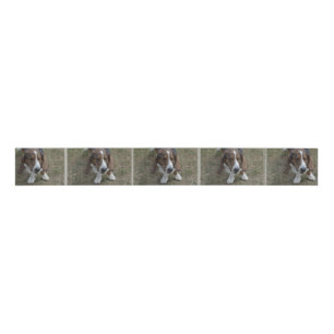 Sweet Basset Hound Grosgrain Ribbon