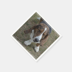 Sweet Basset Hound Napkin