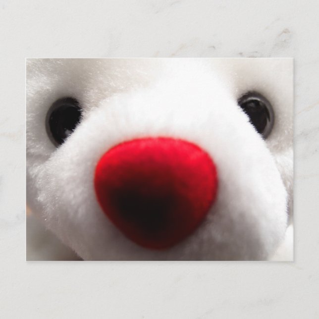 Sweet Bear Postcard (Front)