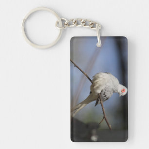 Sweet Beautiful Diamond Dove Key Ring