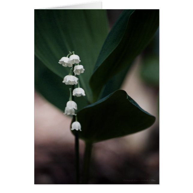 Sweet Bells Card (Front)