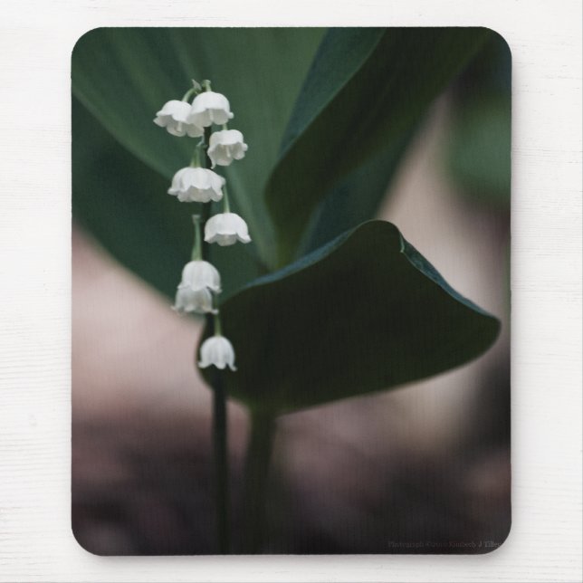 Sweet Bells Mousepad (Front)