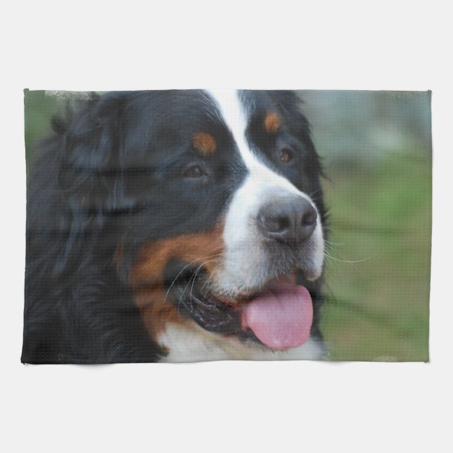 Sweet Bernese Kitchen Towel (Horizontal)