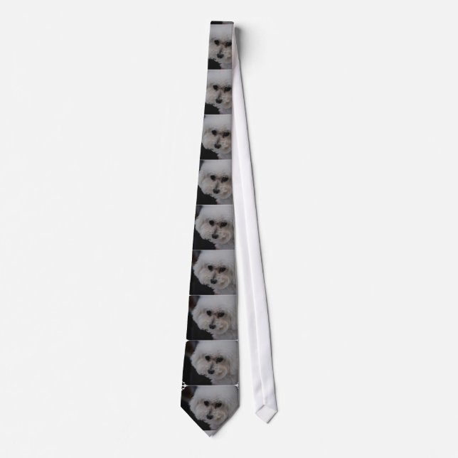 Sweet Bichon Frise Tie (Front)