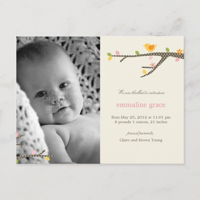 Sweet Birdie Baby Birth Announcement Postcard (Front)