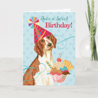 Sweet Birthday Welsh Springer Spaniel