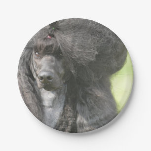 Sweet Black Poodle Paper Plate
