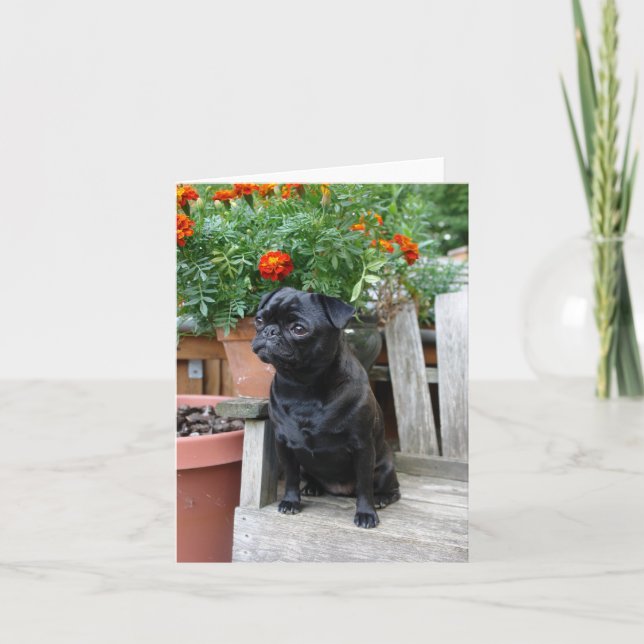 Sweet Black Pug Note Card - blank (Front)