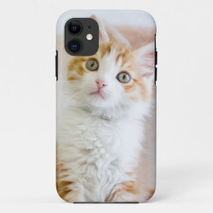 Sweet Blue Eyed Kitty iPhone 11 Case