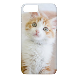 Sweet Blue Eyed Kitty Case-Mate iPhone Case