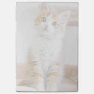 Sweet Blue Eyed Kitty Post-it Notes