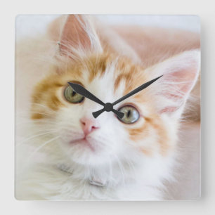 Sweet Blue Eyed Kitty Square Wall Clock