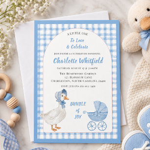 Sweet Blue Watercolor Goose Baby Showe