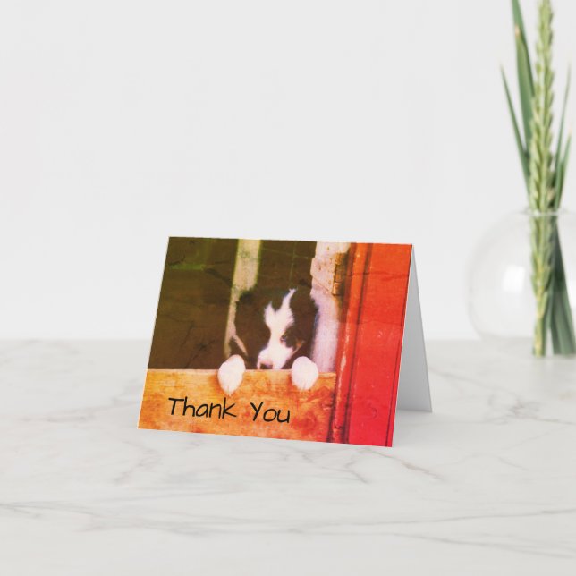 Sweet Border Collie Puppy Dog Art Thank You Card (Front)