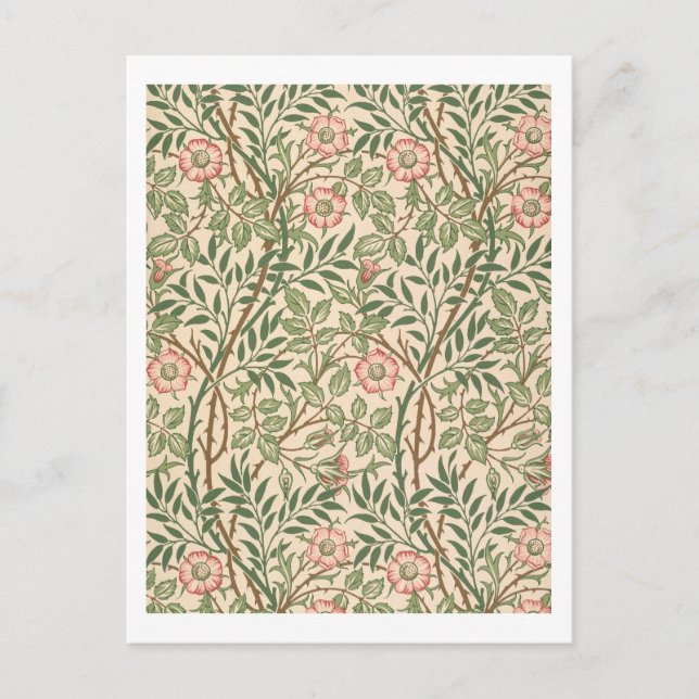 'Sweet Briar' design for wallpaper, printed by Joh Postcard (Front)