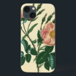 Sweet Briar Rose iPhone 13 Case<br><div class="desc">Floral</div>