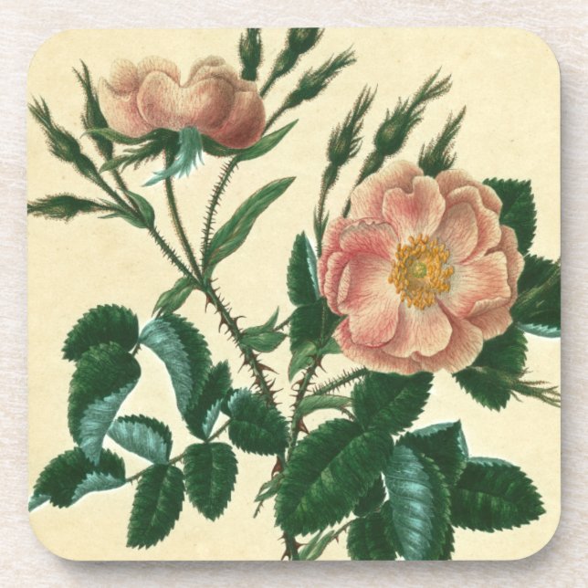 Sweet Briar Rose Coaster (Front)