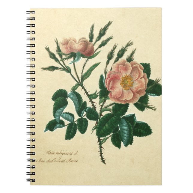 Sweet Briar Rose Spiral Notebook (Front)