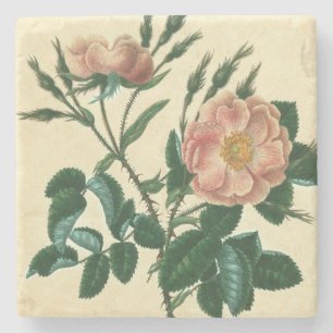 Sweet Briar Rose Stone Coaster