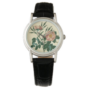 Sweet Briar Rose Watch