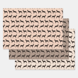 Sweet Bucks Wrapping Paper Sheet