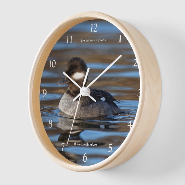 Sweet Bufflehead Duck on Sunlit Waters Wall Clock (Angle)