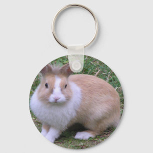 sweet bunny key ring