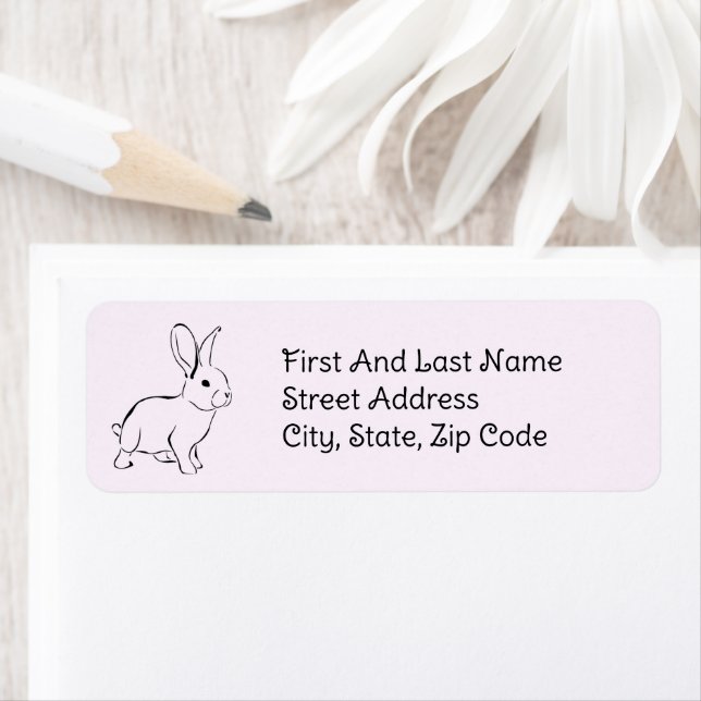 Sweet Bunny Rabbit, Cute Spring or Easter Cartoon (Insitu)