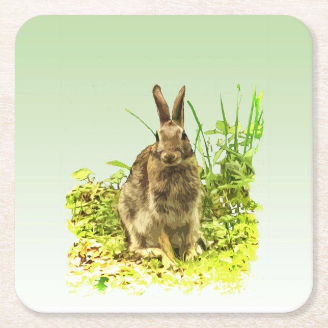 Sweet Bunny Rabbit in Grass Paper Coasters (Front)
