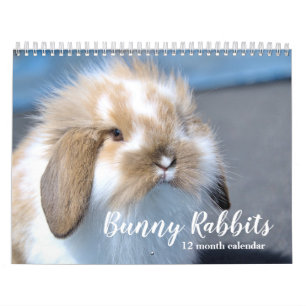Sweet Bunny Rabbits 2026 Calendar