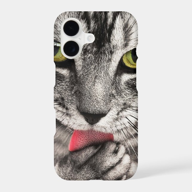 Sweet Cat (Back)