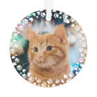 Sweet Cat Photo Christmas Paw Prints and Hearts